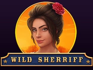 Wild Sheriff screenshot